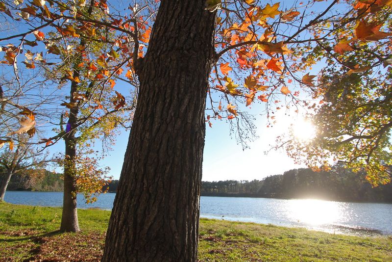 Huntsville State Park