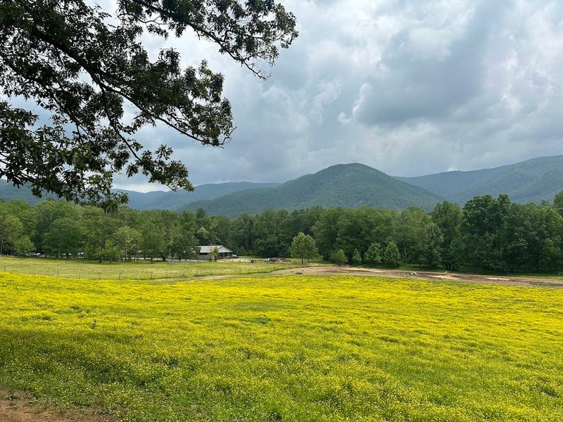 Great Smoky Mountains National Park