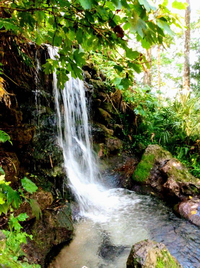 Rainbow Springs State Park (Dunnellon)