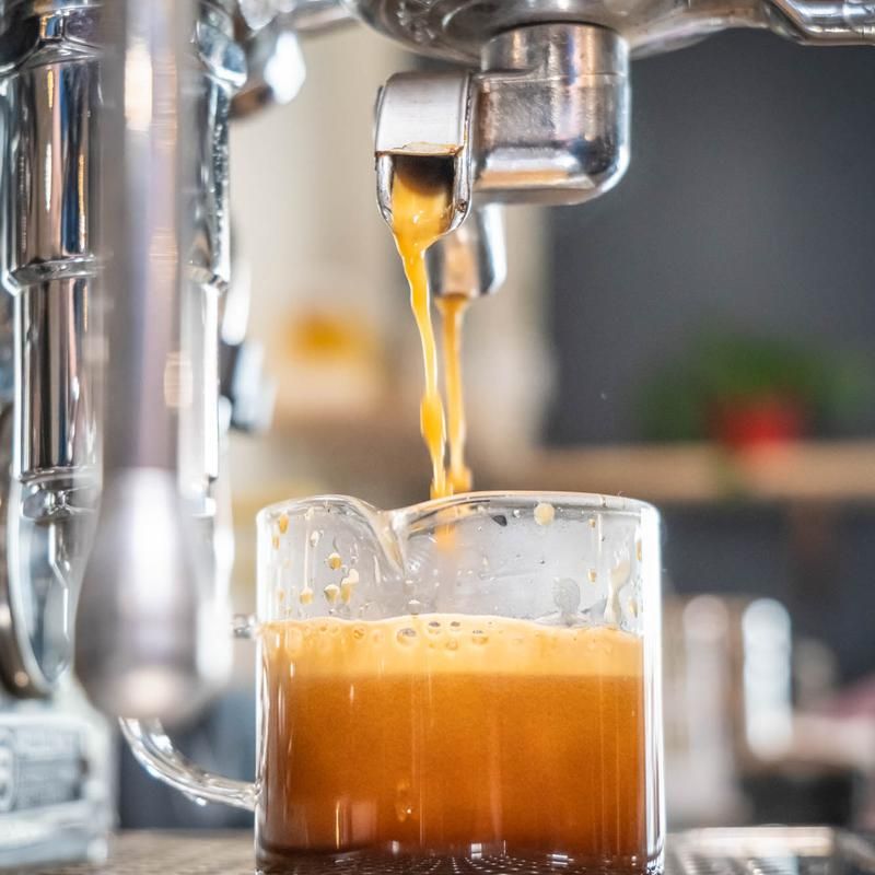 Intrepid Nitro Coffee and Tea Bar