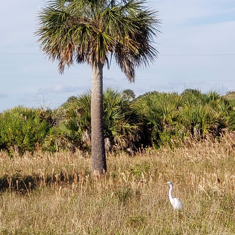 Fort De Soto Park (St. Petersburg)