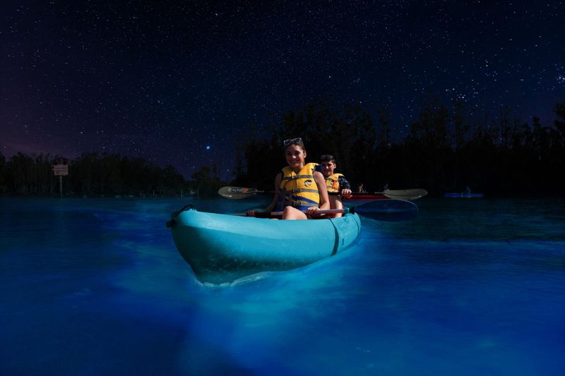 Kayaking Through the Bioluminescent Lagoons 