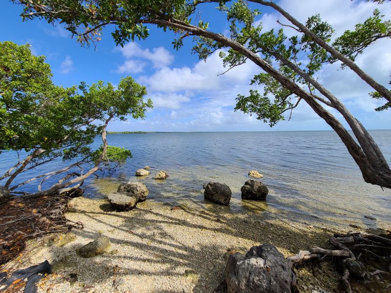 Biscayne Bay & Coastal Mangroves