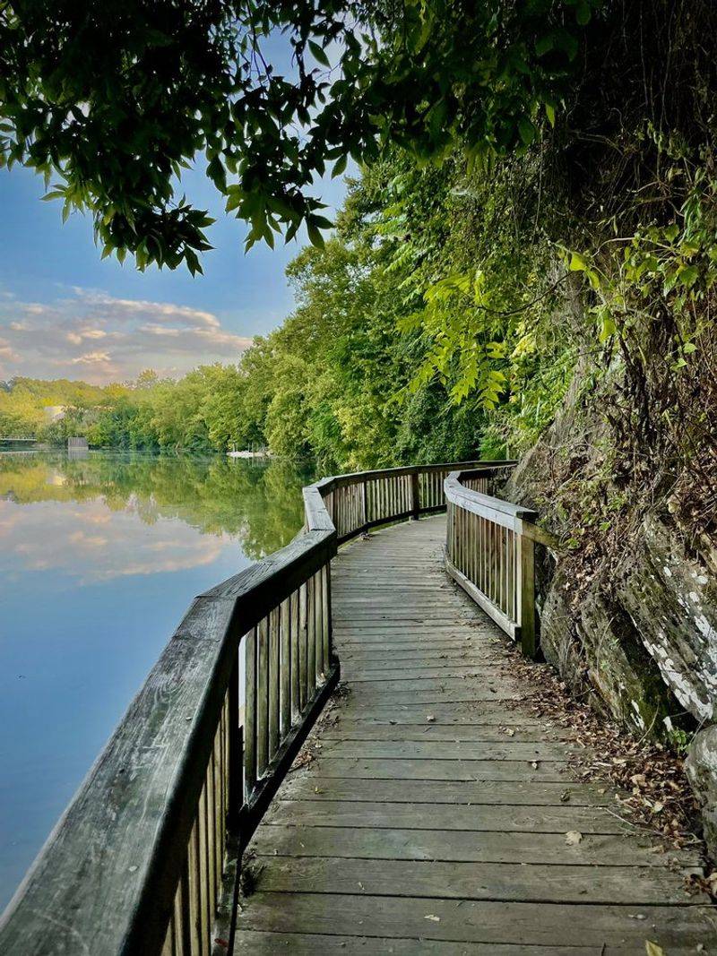 River Boardwalk via Tower Trail &mdash; Ijams Nature Center (Knoxville)