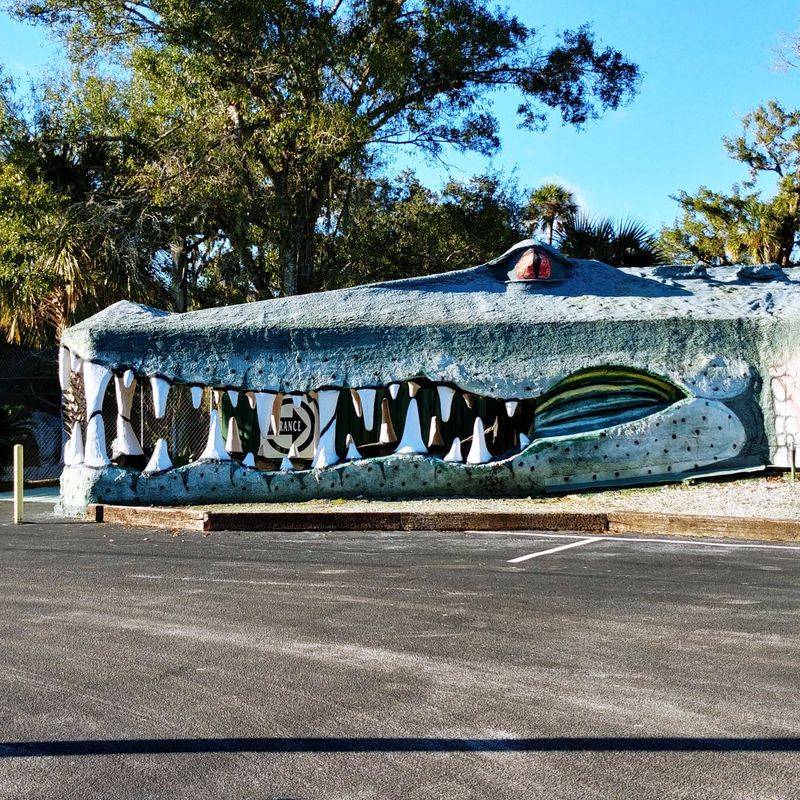 Swampy, the “World’s Largest Alligator” (Christmas)