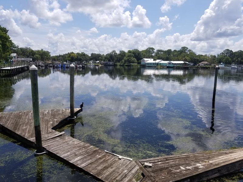 Crystal River (Nature Coast)