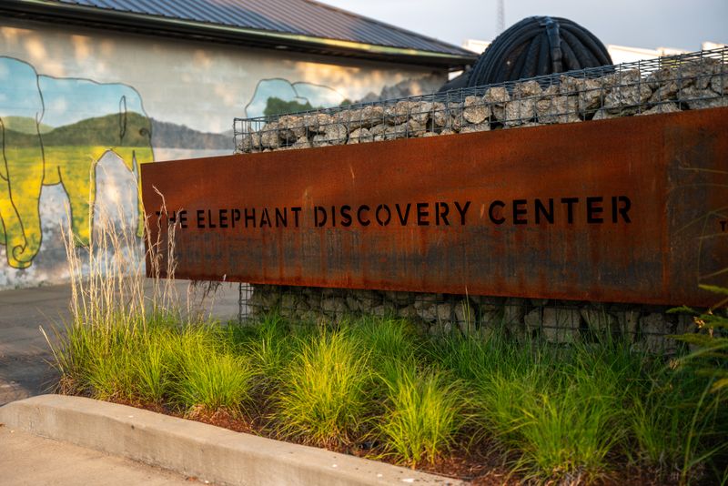 How to Visit the Elephant Discovery Center in Hohenwald