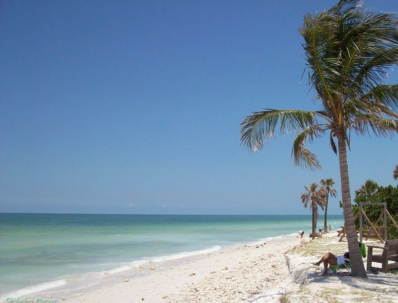 Honeymoon Island State Park