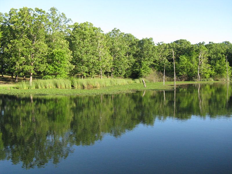 Lake Fork