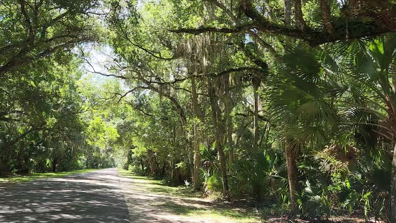 Washington Oaks Gardens State Park Canopy Roads