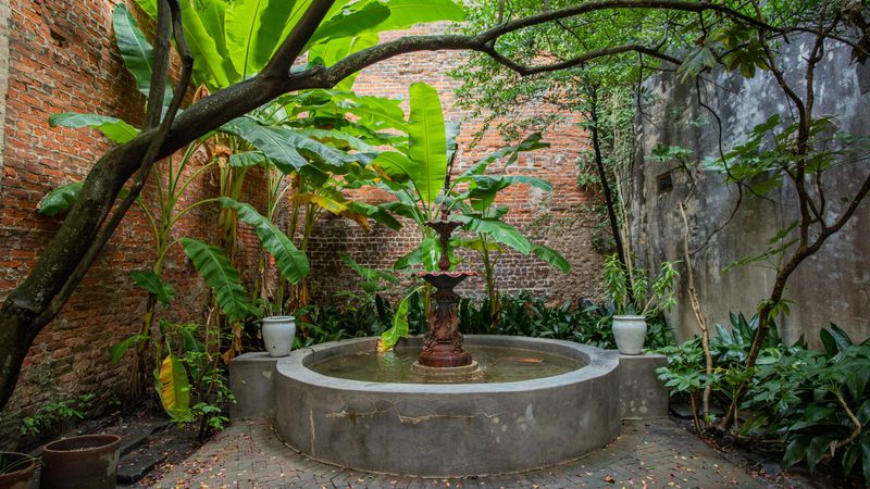 Alchemy Botanical Garden at the Pharmacy Museum