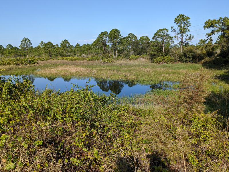 A Haven for Wildlife Lovers and Outdoor Adventurers