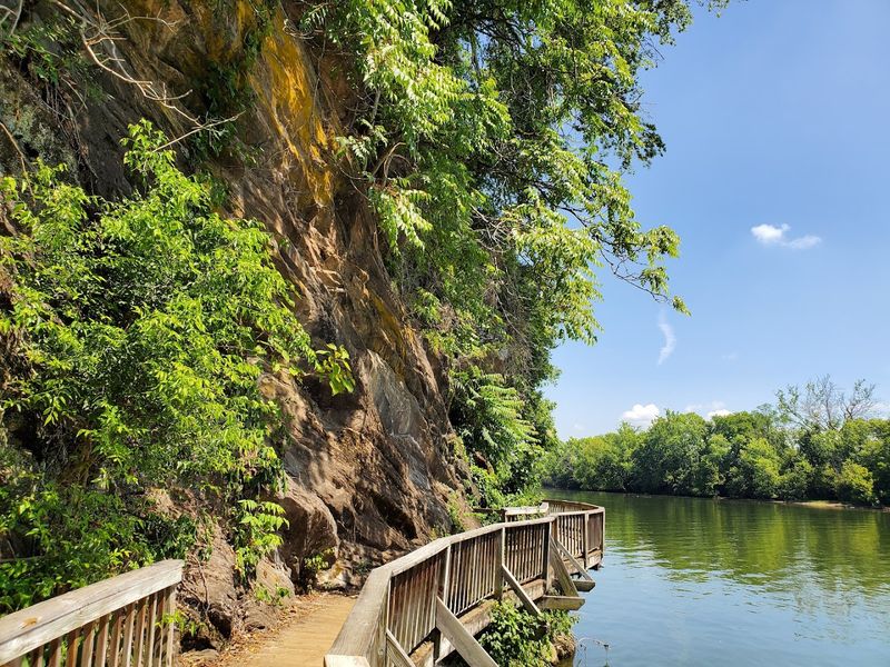 River Boardwalk at Ijams Nature Center &mdash; Knoxville