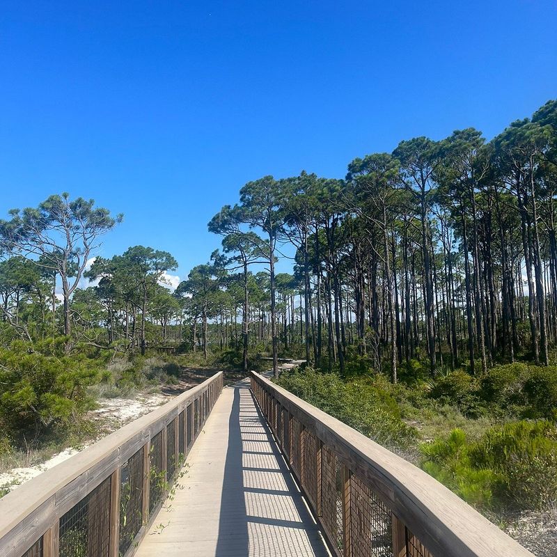 St. George Island State Park – St. George Island