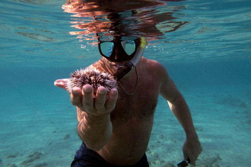 Snorkel Peanut Island in Palm Beach County