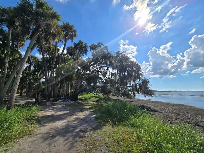 Myakka Hiking Trail, Myakka River State Park