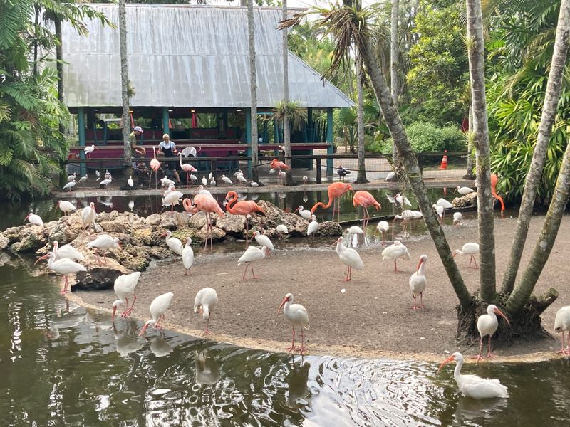 Flamingo Gardens (Davie / Fort Lauderdale)