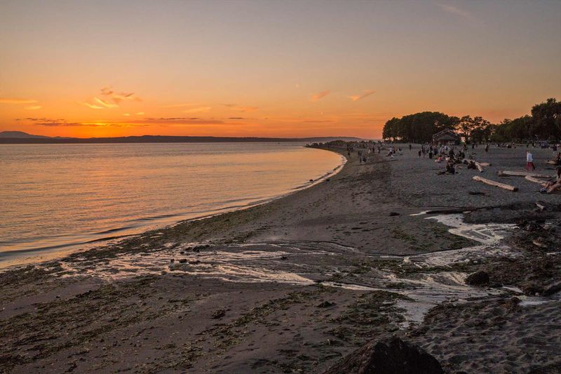 Discover Golden Gardens Park