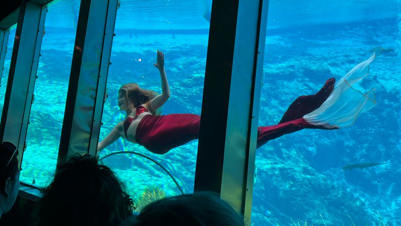 Weeki Wachee Mermaid Shows (Spring Hill/Weeki Wachee)
