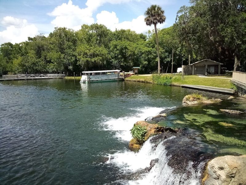 Swim the Crystal Spring