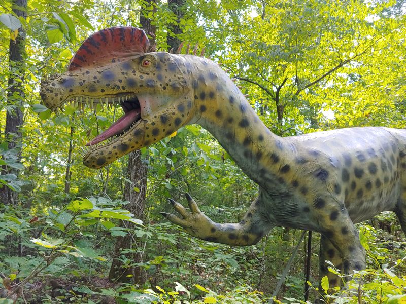 Tips for Your Visit: Parking, Shoes, and When to Go