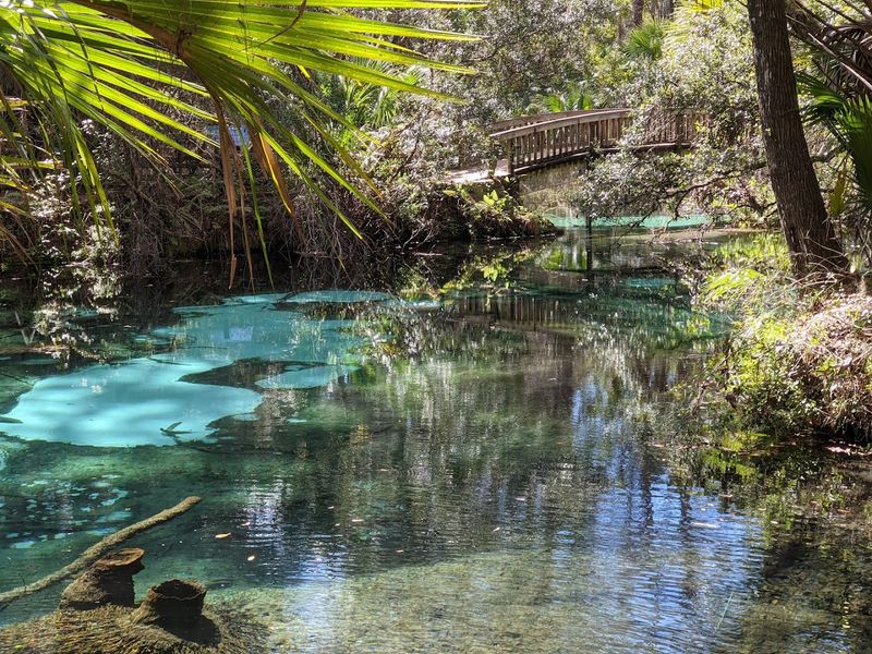 Ocala National Forest Springs