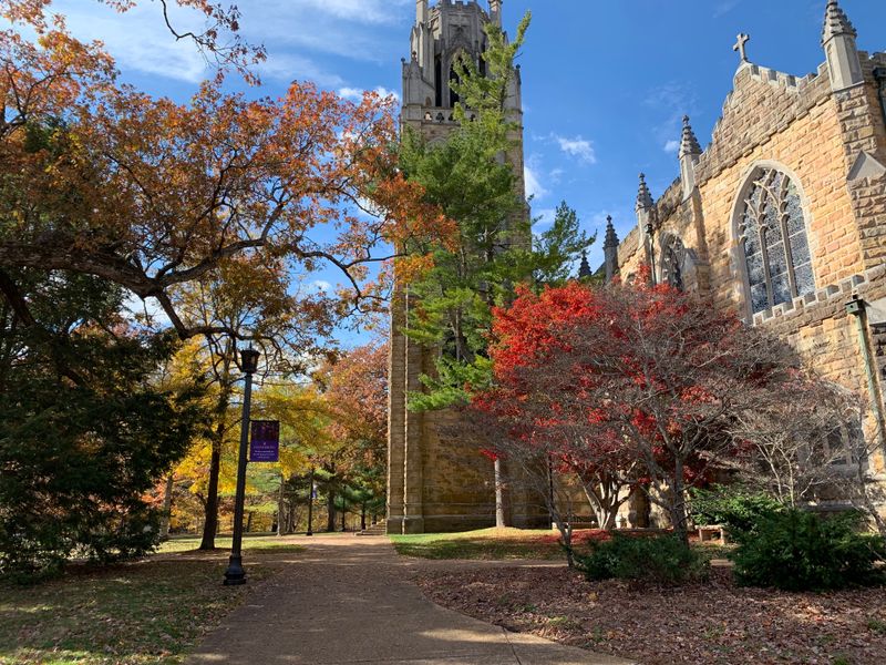 Sewanee (University of the South)