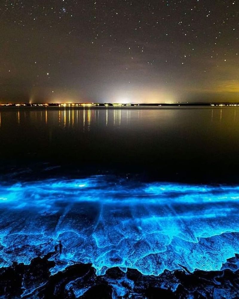 Bioluminescent Bay at Merritt Island