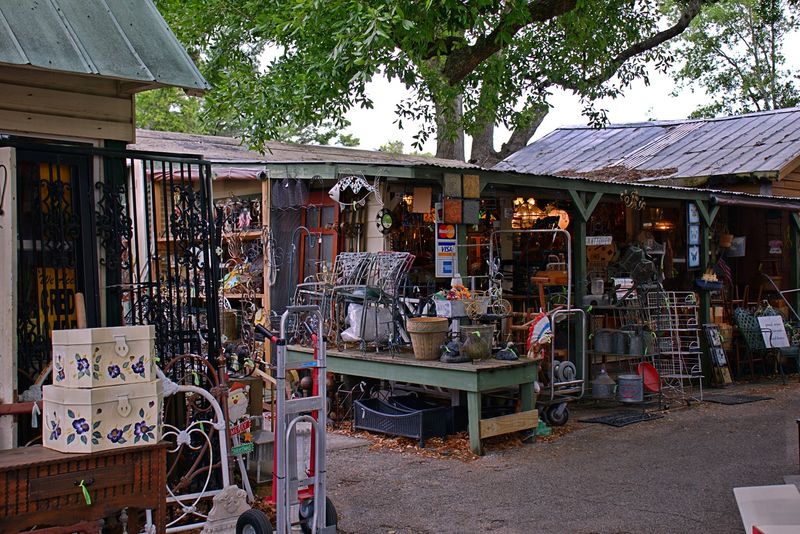 Florida Twin Markets (Mount Dora)