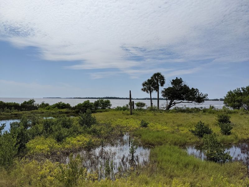 Leave No Trace On A Living Island