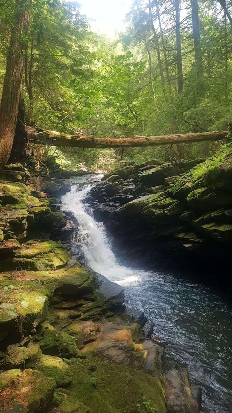 Hike the Fiery Gizzard Trail 