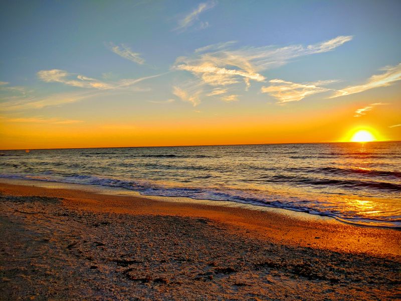 Barefoot Beach Preserve (Bonita Springs)