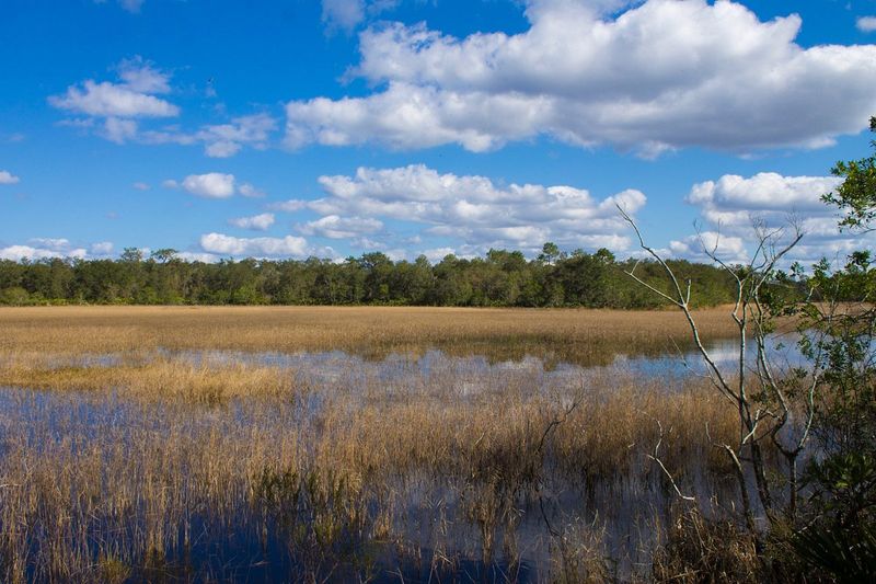 Tiger Creek Preserve Trails (Babson Park)