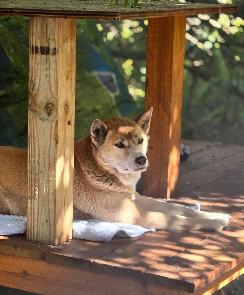 Booking Your Visit and What to Expect