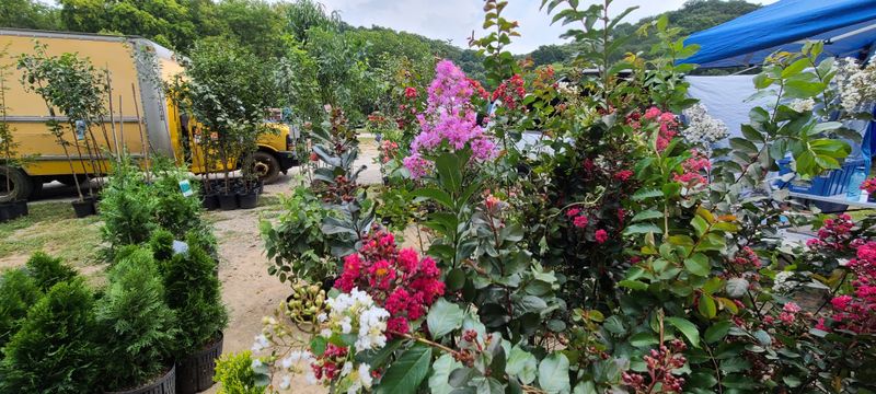 The Vendors Who Keep It Interesting