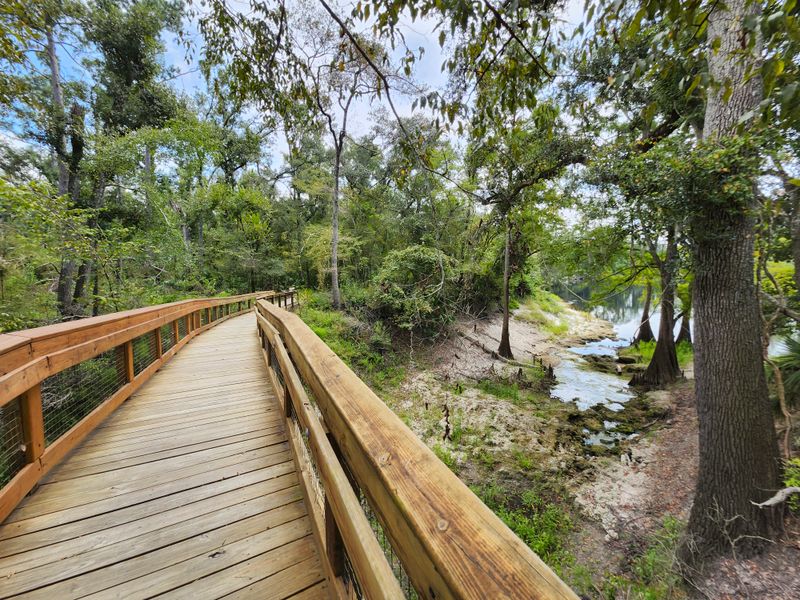 Suwannee River State Park
