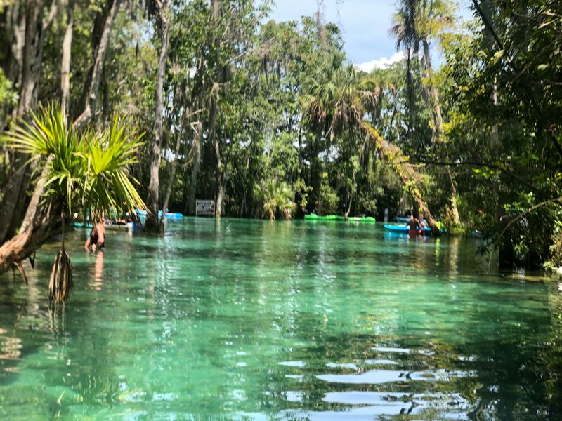 What To Pack For A $5 Perfect Day