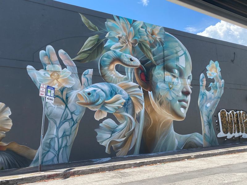 Wynwood Street Art Walk