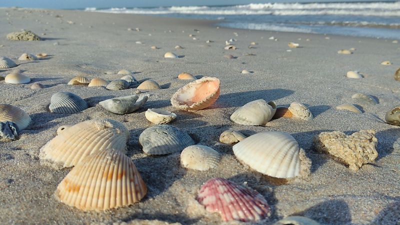 Avalon State Park (St. Lucie County)