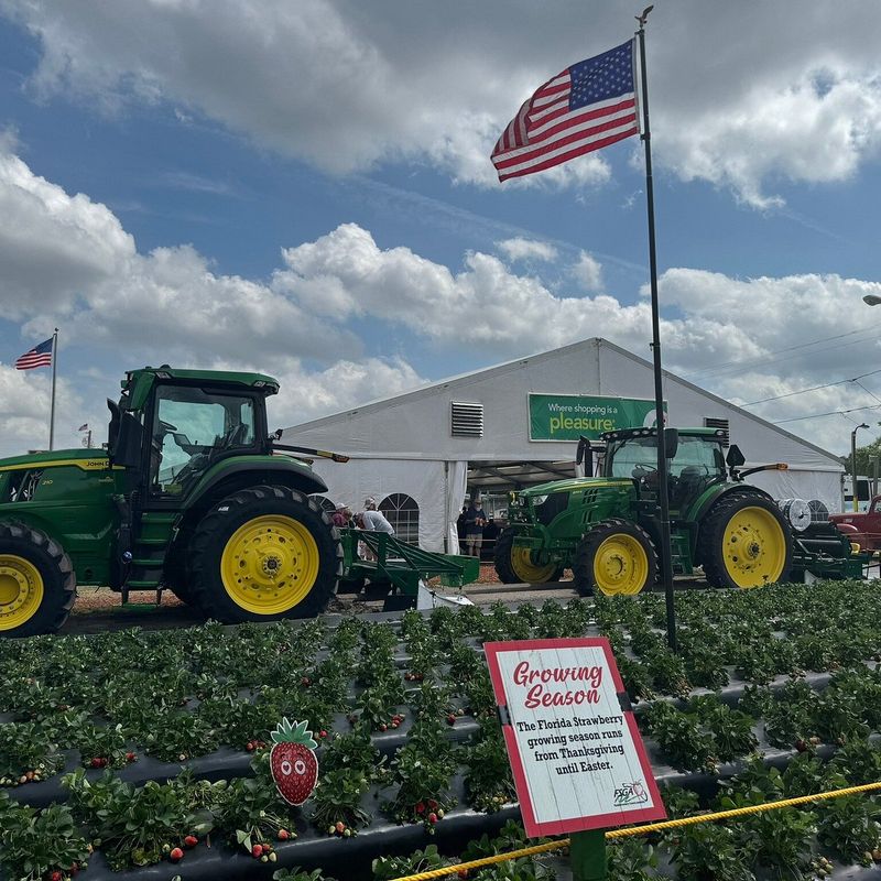 Livestock, Petting Areas, and Down-Home Traditions