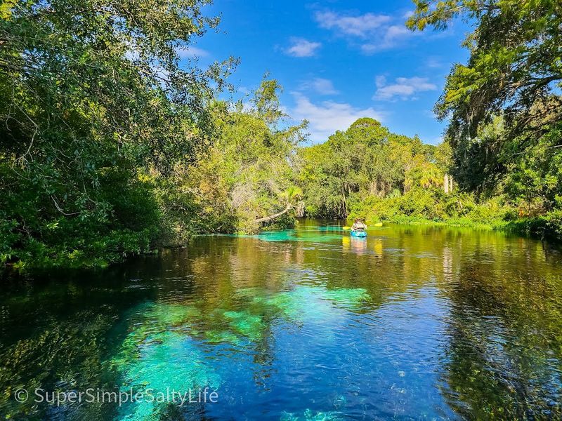 Weeki Wachee Springs (Spring Hill)