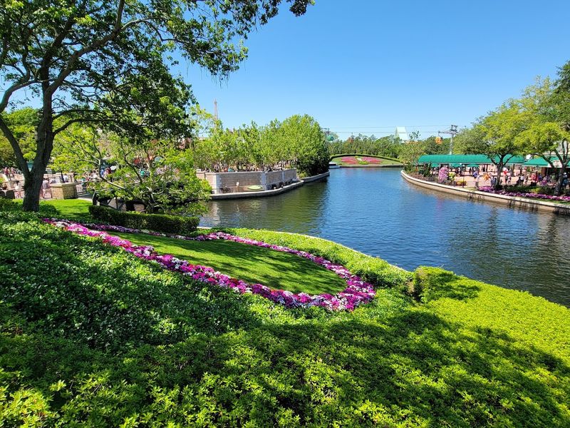 Butterfly Landing Experience