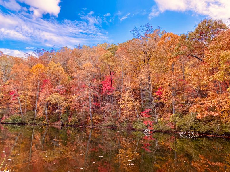 Wears Valley/Chilhowee Scenic Drive