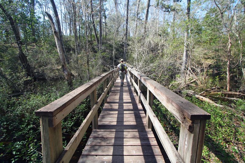 Leon Sinks Geological Area Trail System (Apalachicola National Forest)