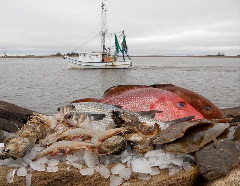 13 Mile Seafood Market