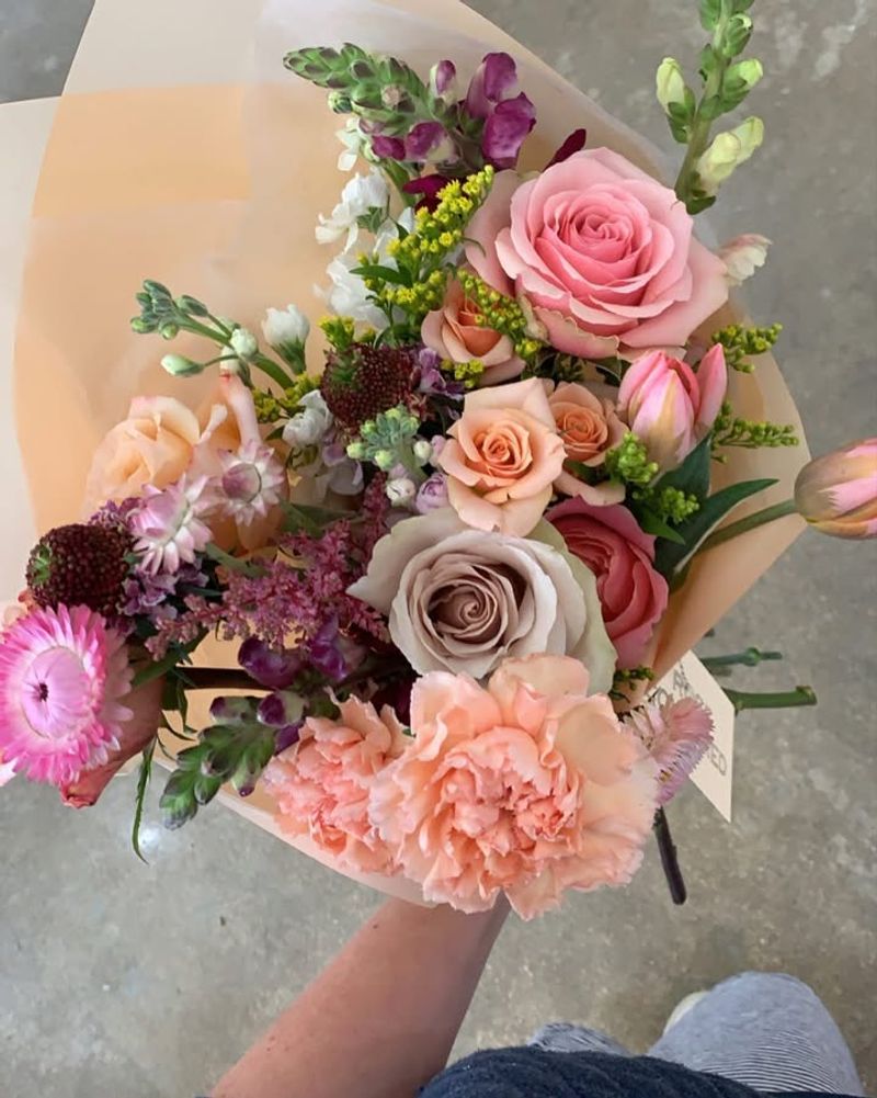 Rose Coloured (Miami, FL)