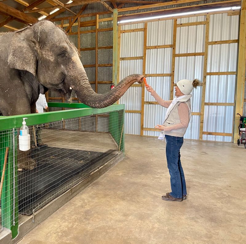 Why Myakka Elephant Ranch Belongs on Every Florida Bucket List