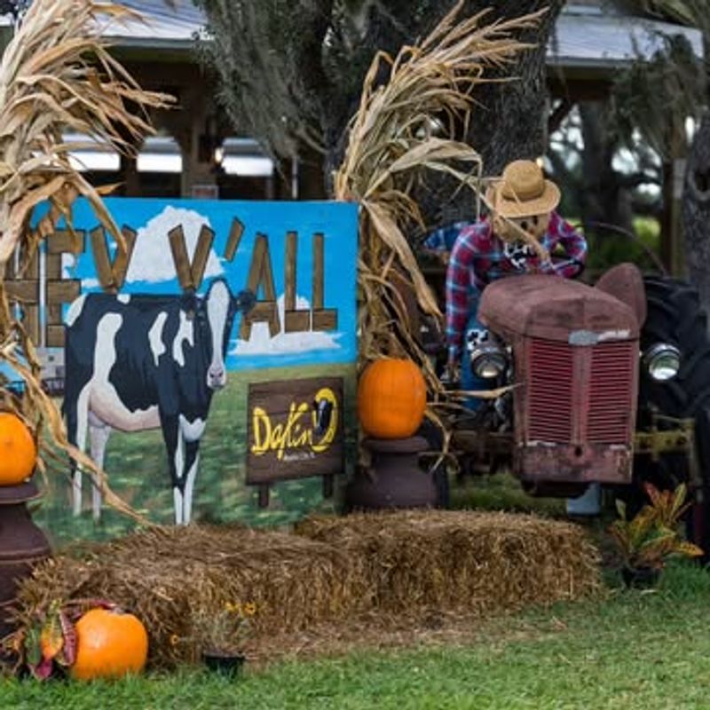 Harvest Festival Highlights: Slides, Maze, Pumpkin Launches