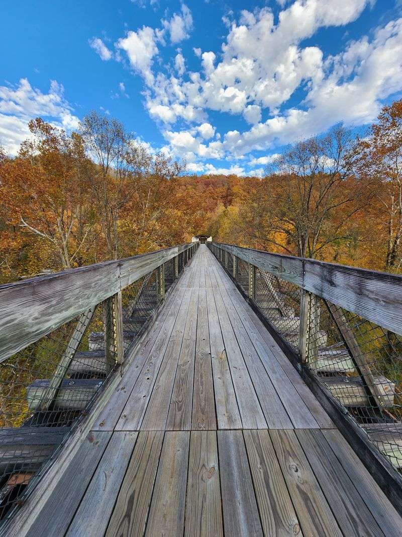Big South Fork National River & Recreation Area – Oneida