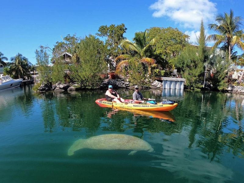PADDLE! The Florida Keys – Tavernier Creek Beach Area